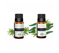 Lot Printemps Estragon-Eucalyptus Citronné 10mlx2- Greenstorm