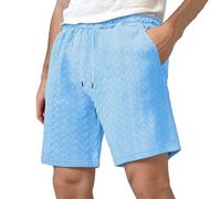 Lot Short Homme Jacquard Rayures Uni Décontracté Confortable Respirable Sports Estival Quotidien Liberté Mouvement Entretien Facile Tissu Technique Qualité Supérieure Short Velo Homme