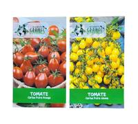 lot spécial graines de tomate poire rouge et jaune - duo de variétés anciennes red fig et yellow pear - semences potagères productives- tomates cerises
