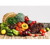 Lot Xxl De Plus De 7500 Graines À Semer - Le Grenier D'abondance - Potager D'automne - 36 Sachets Individuels