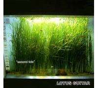 Lotus Guitar - Second Tide [Import]