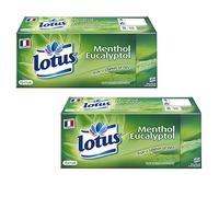 LOTUS Menthol - Étuis de Mouchoirs - Lot de 2 x 15 unités - Idéal pour la maison, le bureau et la voiture - Fabrication Francaise