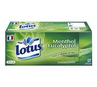 Lotus Menthol Mouchoirs en papier 15 étuis, Vert, 1 épaisseur, Pure ouate de cellulose, Léger, Eucalyptol, Lot économique de 3