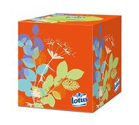 LOTUS - Mouchoirs Boîte Cubique X48 - Lot De 4 - Vendu Par Lot