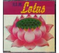 Lotus/Surfin' the Ganges