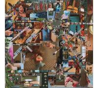 Lou Barlow Reason to Live (Vinyl) 12" Album Coloured Vinyl