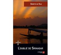 L'oublié De Srinagar