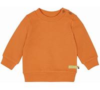 loud + proud Unisex Kinder Rippenstruktur, GOTS Zertifiziert Shirt, Carrot, 74/80, Carrot