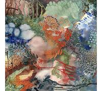 Louien - None Of My Words [New Vinyl LP]