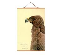 Louis Agassiz Fuertes affiches No 218 eicie - 4052115045175