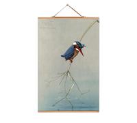 Louis Agassiz Fuertes affiches No 224 eicie OFFRE SPECIALE - 4052115045236