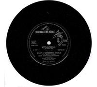 Louis Armstrong Orchestra - What A Wonderful World [7" Vinyl]