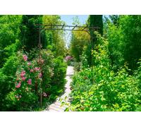 Arche de Jardin Pergola Noir Charbon - Support Plantes Grimpantes et Décoration Extérieure, Acier Robuste Résistant UV et Gel, Fabrication Française, Montage Facile