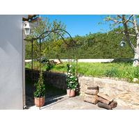 Louis Moulin Arche de jardin en métal Louis Moulin - Portique fer vieilli 200 x 250 cm - 3256