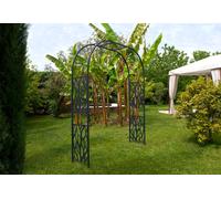Louis Moulin Arche de jardin en métal Louis Moulin - Végétal anthracite 195 x 250 cm - 5051