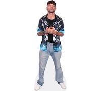 Louis Tomlinson (Shirt) Silhouette en Carton Taille Mini