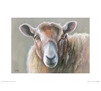 Louise Brown (Looking Sheepish 30 x 40 cm Toile Imprimée