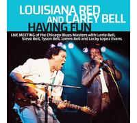 Having Fun – Live Meeting Chicago Blues – 1990