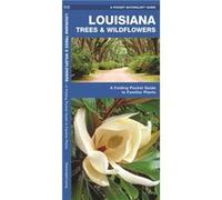 Louisiana Trees amp Wildflowers A Folding Pocket Guide to Familiar Species by Illustrated by Dr Raymond Leung James Kavanagh James Kavanaugh (Auteur)