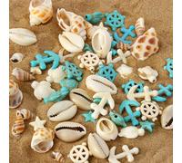 LOUKEKE 65 pièces de coquillages, étoiles, tortues, tailles aléatoires, matériaux faits main, bracelets, colliers, boucles d'oreilles, accessoires