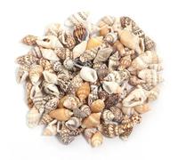 LOUKEKE Breloques en coquillages de mer, 30 g/sac, petites perles de coquillages de conque, pour la fabrication de bijoux, accessoires, colliers, bracelets, pendentifs