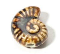 LOUKEKE Lot de 12 perles 3D en céramique motif océan pour la fabrication de bijoux, breloques, conque ou escargot de mer, environ 21 mm x 17 mm, trou : environ 2 mm