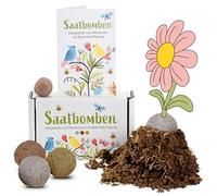 LouMaxx Bombes de Graines Faites à la Main | 15 pcs | +50 Espèces | Bombes de graines fleuries comme cadeau d'invité - boules à planter durables pour anniversaire, mariage & Pâques