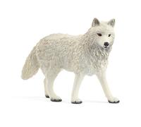 Loup Arctique
