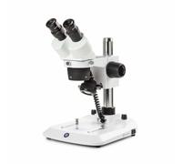 Loupe Binoculaire EUROMEX StereoBlue 20/40x COL