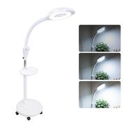 Loupe Lampadaire Lampe de Sol Lampe avec loupe Hauteur Réglable Beauté Lumière 8X Agrandir Lampadaire 360 degrés Roulant Support Lumière pour Tatouage Soins de la Peau(EU)
