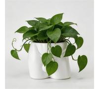 Lourich Vases de Corps pour Pot de Fleurs décoratif, Pot de Fleurs en résine Amusant, Pot de Fleurs pour Corps Masculin - Vase Amusant Cadeau Unique pour Plantes Grasses et Cactus (Blanc)