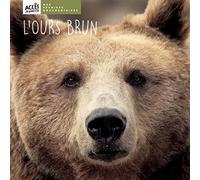 L'ours brun