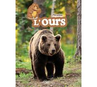 L'ours - Collectif - Grenouille - cartonné - Document jeunesse dès 6 ans