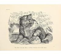 L'ours et les abeilles. - Une nouvelle version d'une histoire ancienne (1853) Poster imprimé par Sir John Tenniel (24 x 36)