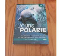 L'ours Polaire