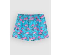 Lousy Livin Boxer Greater Flamingos