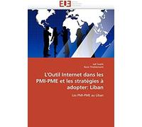 L'outil Internet Dans Les Pmi-Pme Et Les Stratégies À Adopter: Liban