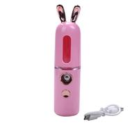 Louttary Nouveau Mini USB Rechargeable Nano Hydratant Pulvérisateur Femmes Beauté Instruments Usage Domestique Humidificateur Vapeur Rose