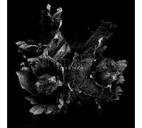 Love And Decay CD