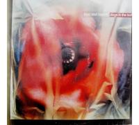 Love And Money - Love And Money - Dogs In The Traffic - Fontana - 848 993-1