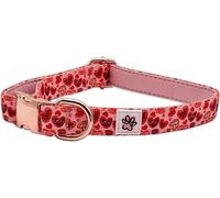 Love at First Bark - Collier pour Chien - Taille L