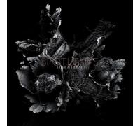 Love & Decay – CD – The Orchard