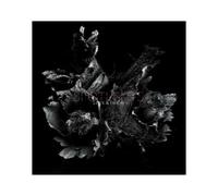 Love & Decay – LP – Sony Music