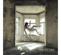 Love God Chaos - Die Unmöglichkeit des Nichtscheiterns