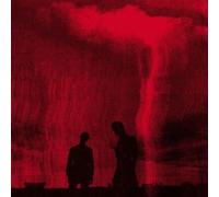 Love Hates What You Become Vinyle