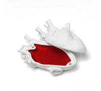 Seletti Boîte en porcelaine Love in a Box 09918