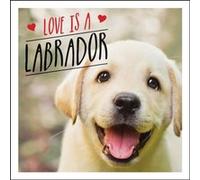 Love is a Labrador by Charlie Ellis Unknown (Auteur)
