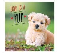 Love is a Pup by Charlie Ellis Charlie Ellis (Auteur)