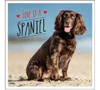Love is a Spaniel by Charlie Ellis Charlie Ellis (Auteur)