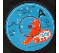 LOVE IS ALL I'VE GOT 7" (45) UK BIG BEAR 1977 DEMO B/W I'M GONNA SYNTHESISE YOU (BB5)